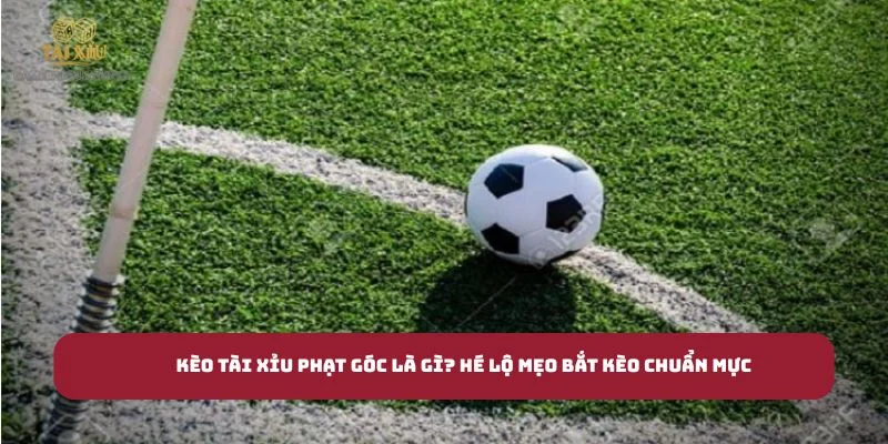 Kèo Tài Xỉu Phạt Góc Là Gì? Hé Lộ Mẹo Bắt Kèo Chuẩn Mực