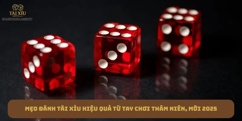 Mẹo Đánh Tài Xỉu Hiệu Quả Từ Tay Chơi Thâm Niên, Mới 2025